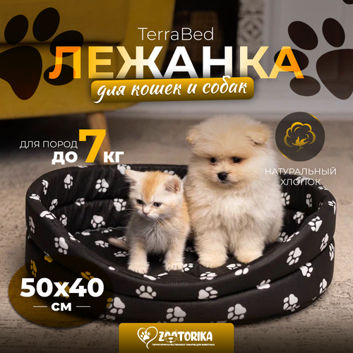���� ������� ��� ����� � ����� TerraBed �������� 