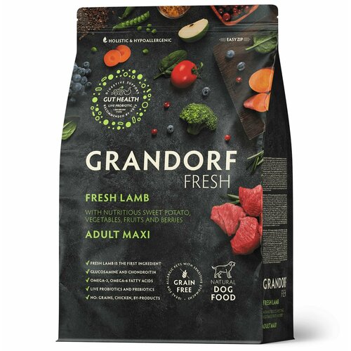     Grandorf Fresh             .         , 10    -     , -  