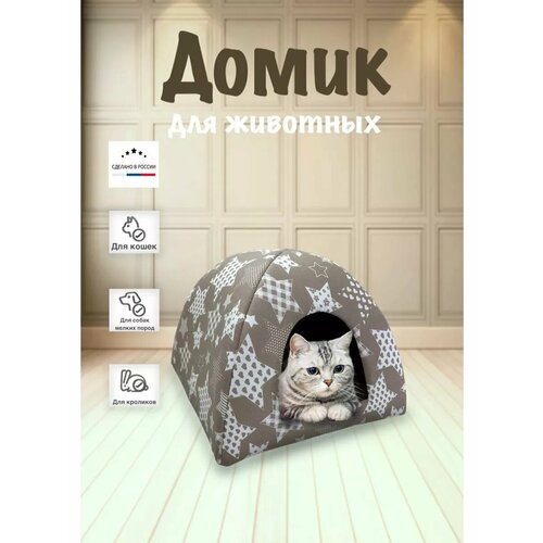 ���� ����� ��� ����� � ����� ������ �����, ������ ������