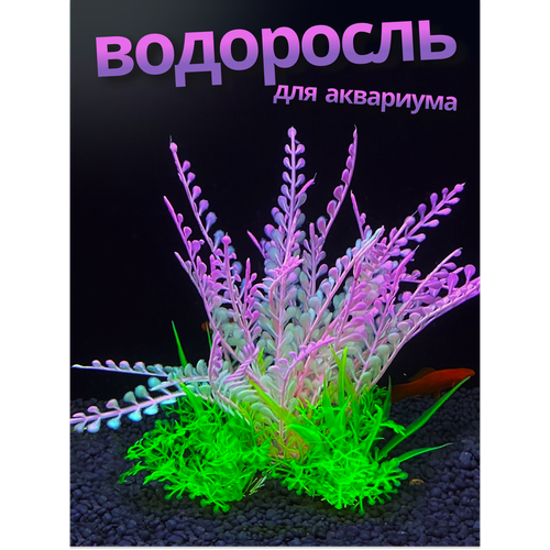 ���� ������������� ��������� ��� ��������� � ���������� JustMarket, ������ ������