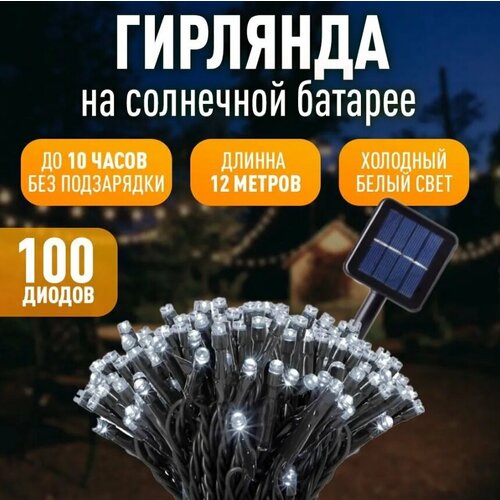       , 100LED   -     , -  