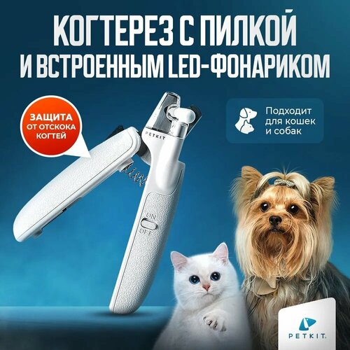        LED  PETKIT   -     , -  