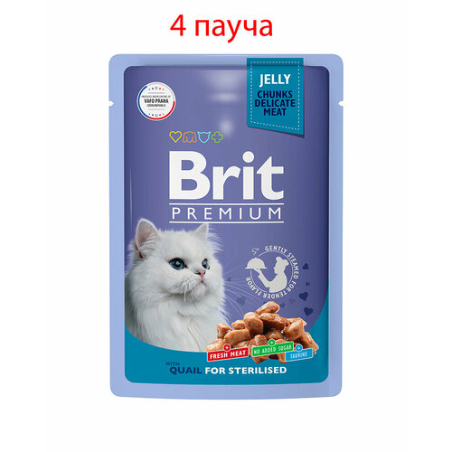   Brit Premium        85, 4   -     , -  