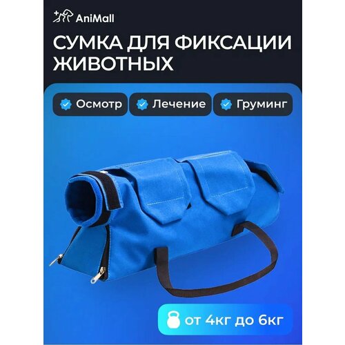 ���� ������������ ����� ��� �������� �������� - �� 4 �� 6 �� �����, ������ ������