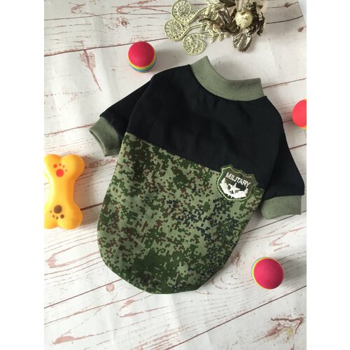 ���� ��������� ��� ����� �������� �� ���������� ���������, ������ ������