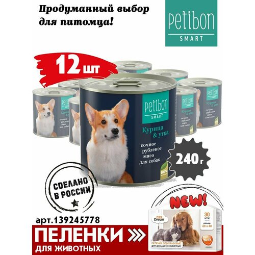      Petibon Smart,      , 240   12 .   -     , -  