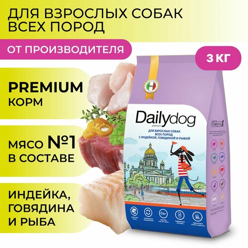    Dailydog    ,  ,   , 3    -     , -  