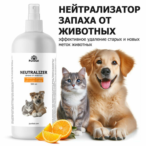 ���� ������������� (����������) ������� ��� �������� � �������� ������ (Purshat). ��������� � ����������� ������ ����� � ������� ���� 500 ��, ������ ������