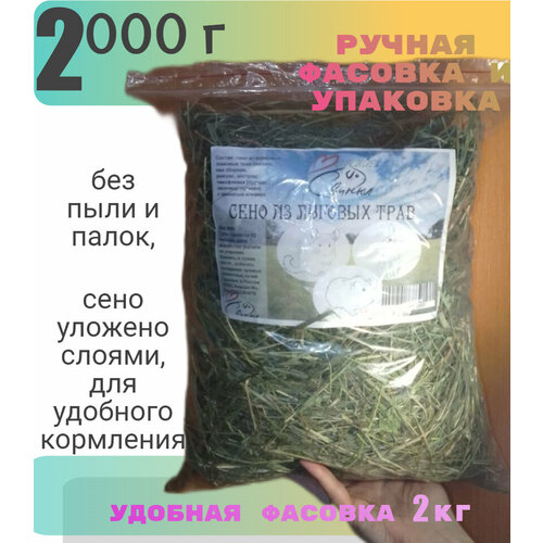 ���� ���� ������� 