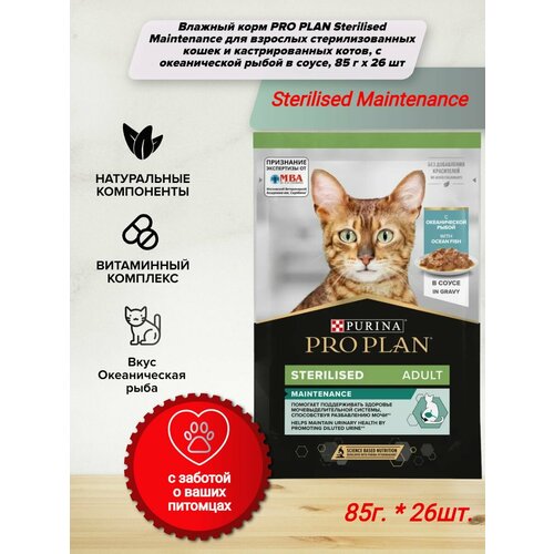    PRO PLAN Sterilised Maintenance       ,     , 85  x 26    -     , -  