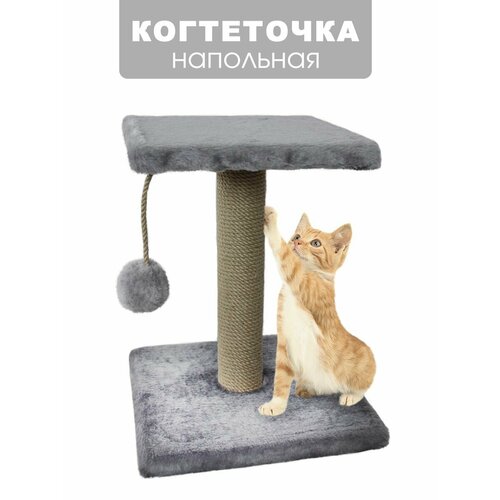 ���� ���������� ������� 