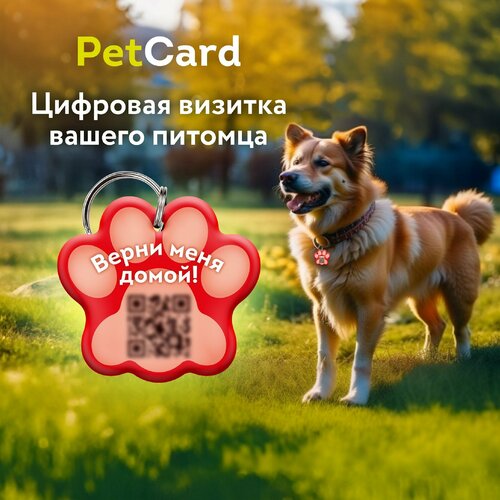���� �������� PetCard ��� ����� � ����� � QR ����� � NFC, �������., ������ ������