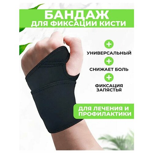 ���� ������ �� �������� QuisLife, ����� ��� ��������� � ������ �������������� �������, ������ ������