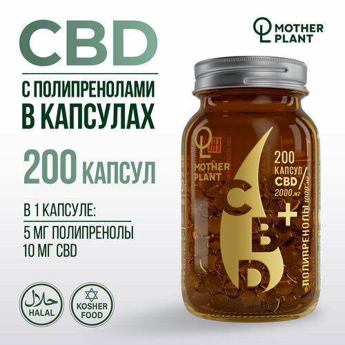   CBD     (200   10 ), Motherplant   -     , -  