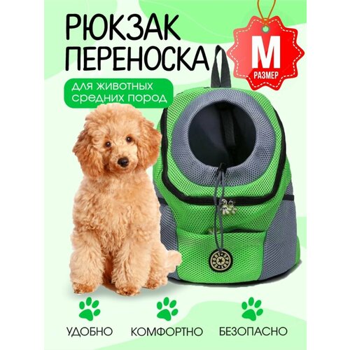 ���� ������ ��������� ��� ����� � ����� �������, ������ ������