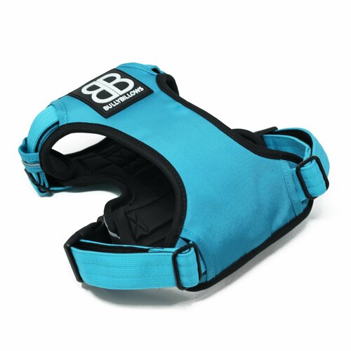   Premium Dog Harness v2.0 BullyBillows ( / XL)   -     , -  