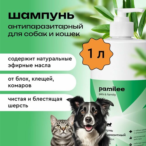 ���� ������� ��� ����� � ����� Pamilee �� ���� � ������, 1 ����, ������ ������