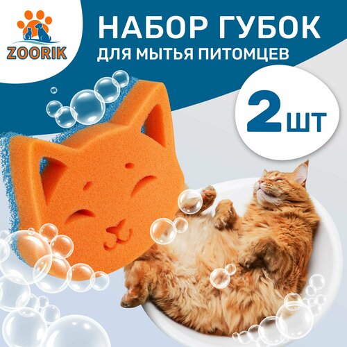 ���� ����� ����� ��� ����� �������� / ZOORIK / ����� / 