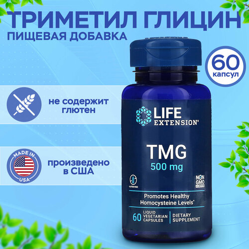 ���� �������� ������ 500 ��. Life Extension TMG 60 ������, ������ ������