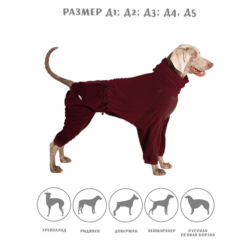 ���� �������� ���������� ��� ����� �� ������, ���� ��������, ������ D5, ������ ������