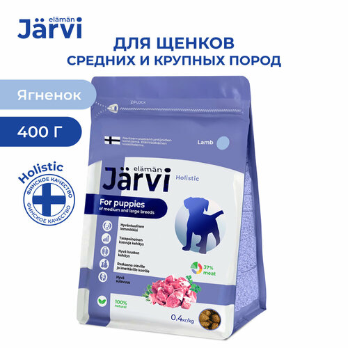  Jarvi          , 400 .   -     , -  