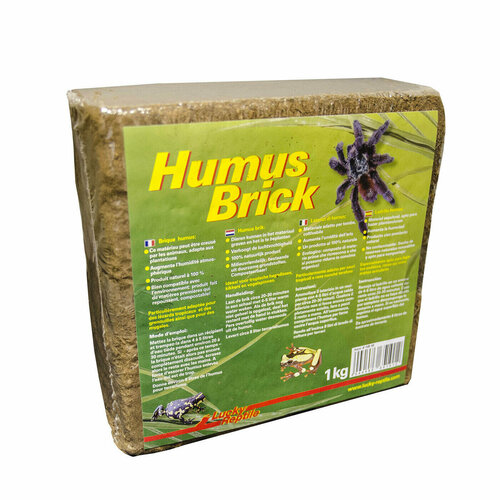 ���� �������� ��� ����������� LUCKY REPTILE 