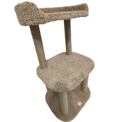 ���� �������� ��� ����� ������� ��� ���� 