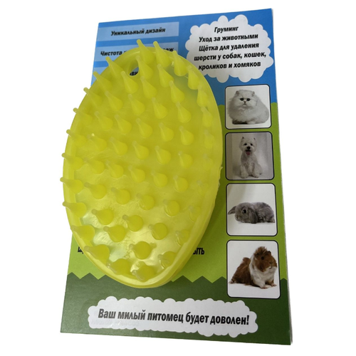 ���� ����������� ����� �������� ��� ����� � �����, ������� ����������� ������ ��������, ������ ������