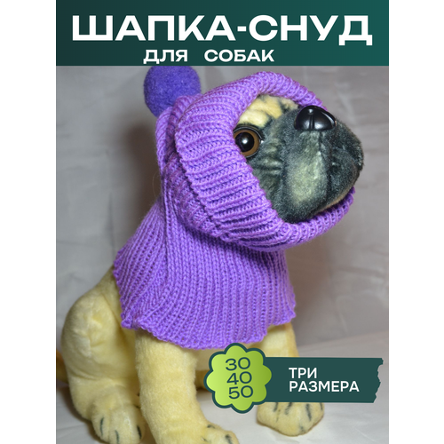 ���� �����-���� ��� ����� � ��������, ������ ������