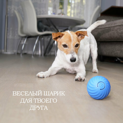     petgravity           -     , -  