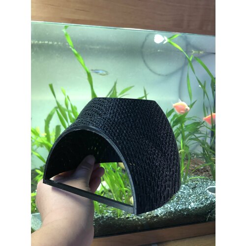 ���� ������ ��� �����, ������ ������