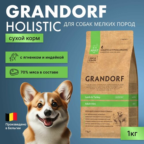         Grandorf    , 1   -     , -  