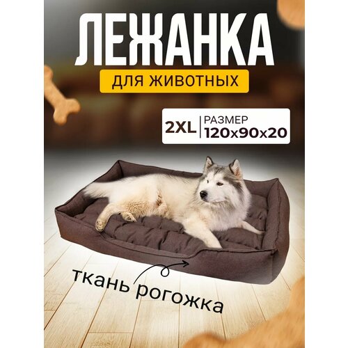 ���� ������� ��� ����� � ����� ������� � ��������� � ��������, ������ ������