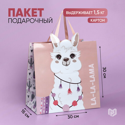 ���� ����� ���������� ������� �����, 30 � 30 � 15 ��, ������ ������