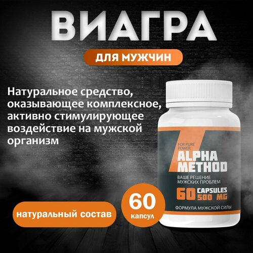 ���� ����� ����� ������ ��� ������, ��� ��������, ������ ������