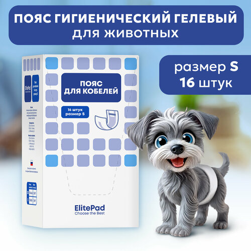     ELITEPAD , S, 16/   -     , -  