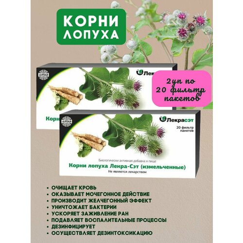 ���� �����-��� ����� ������ � ��������� 2�� �� 20�/���, ������ ������