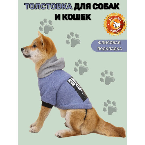 ���� ��������� ��� ����� ������, ������� � ������� �����, �����, �����. ���� ��� ����� � �����. �����. ������ ��� ��������. �����-������-L, ������ ������