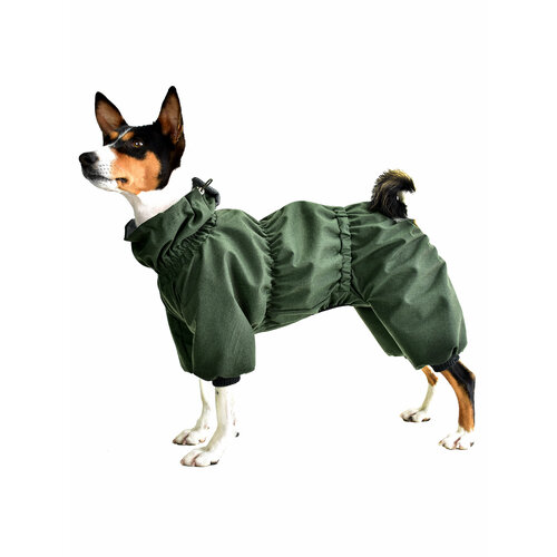 ���� ���������� �������� ���������� �� ����� ��� �����-��������� �.12 ��. �����-�������, ������ ������