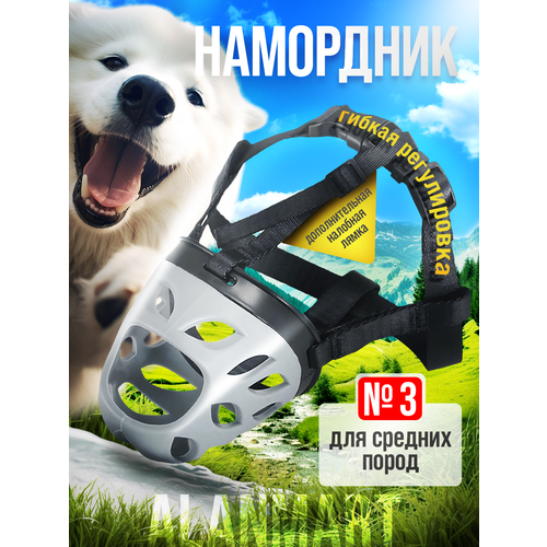 ���� ��������� ��� ������� ����� ����� �����, �����, �������� �������, ���� ���, �������, ���������������, ������ �3 (L), �����������, �����, ������ ������