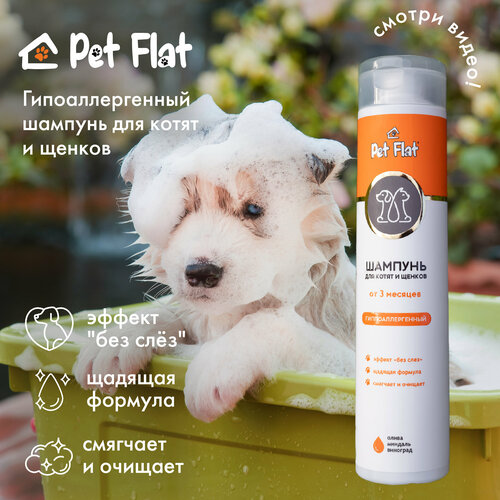       PET FLAT    -     , -  