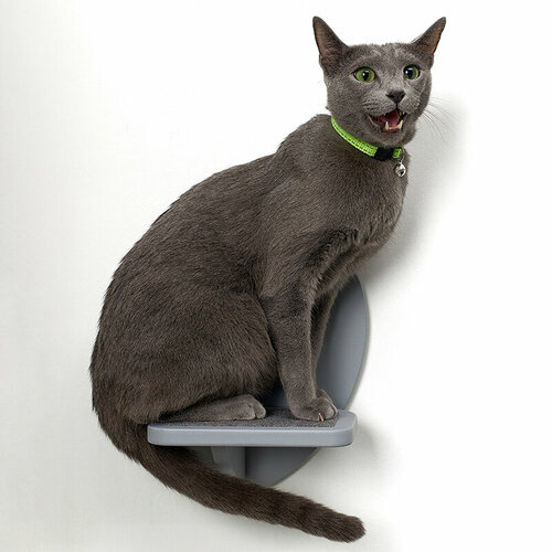 ���� �����-��������� ��� ���������� �������� ��������� � ����������, �����, ������ ������