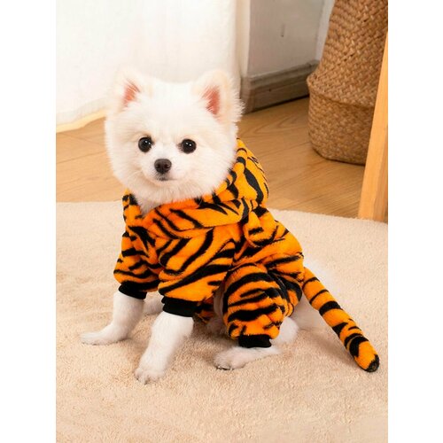 ���� ������ - ������ ��� ������ ����� � ������� �����, ������ ������