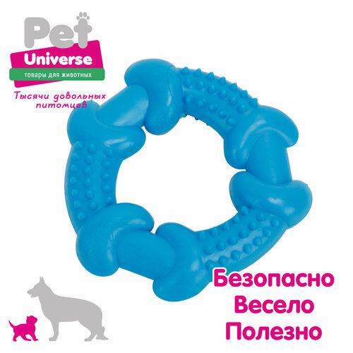     Pet Universe      10,5 , , PU3061   -     , -  