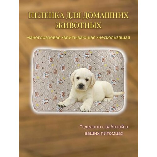 ���� ������������ ����������� ������� ��� ����� � �����, ������������� ������ ��� �������� �������� �, ������ ������