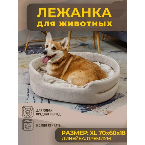 ���� ����� ��� ����� � ����� �������, �����, ������ ������