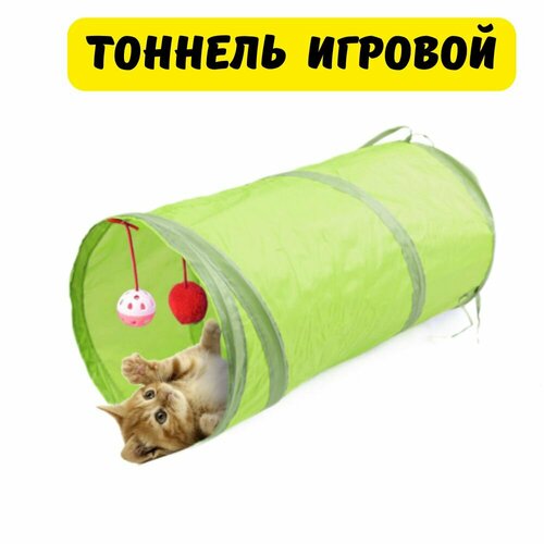 ���� ������� ������� �����, ������� ��� ��������, ������� ��� �����, ������ ������