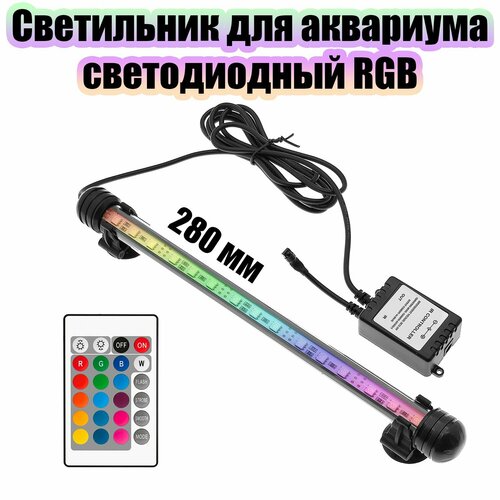       RGB  OG-LDP04 (280)   -     , -  