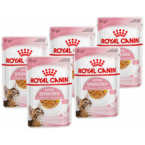  ROYAL CANIN KITTEN STERILISED         85  85   5    -     , -  