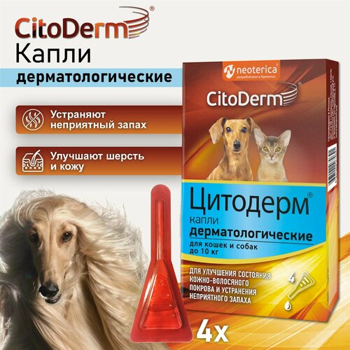         10  CitoDerm     4    -     , -  